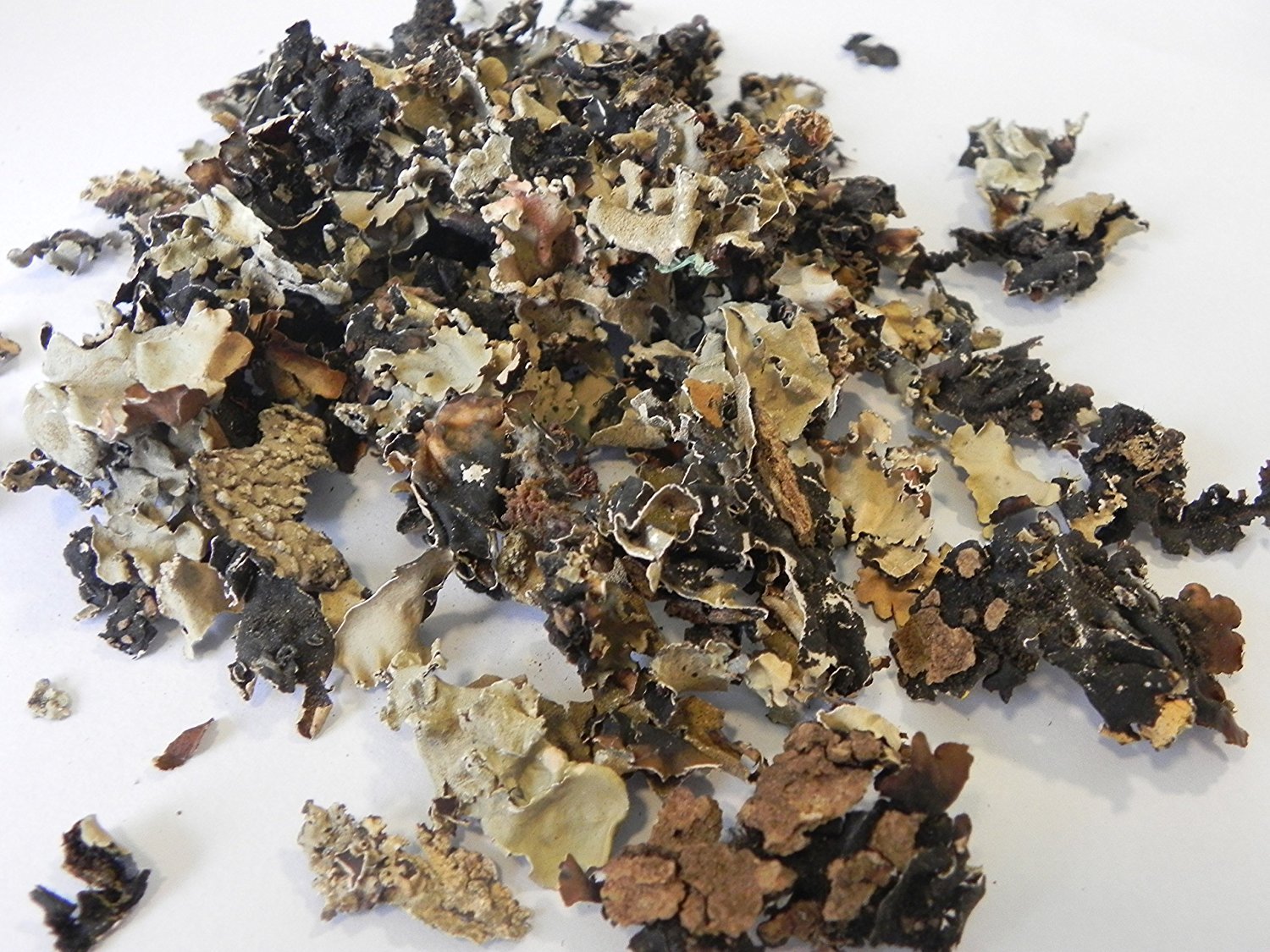 Daghadphool (Rock Flower) 20g